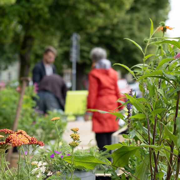 Eine Blumenbepflanzung in einem Stadtbereich, mit verschiedenen Pflanzen in Töpfen. Im Hintergrund sind Menschen zu sehen, die sich unterhalten oder arbeiten. Eine Person trägt eine rote Jacke und bewegt sich nah an den Pflanzen vorbei.