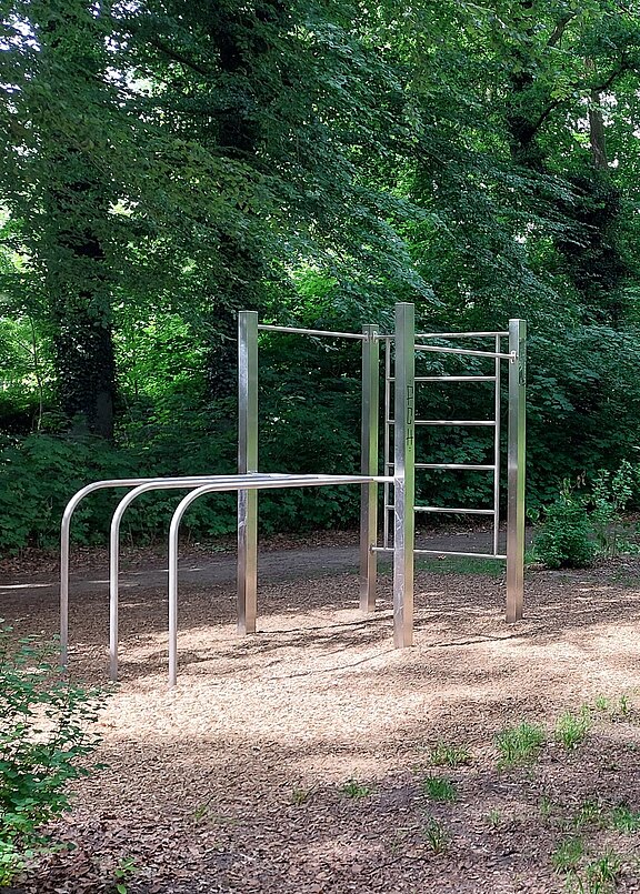 Freistehendes Outdoor-Fitnessgerät aus Edelstahl: Parallelbarren, Sprossenleiter und Klimmzugstange auf Holzschnitzelboden, umgeben von dichtem Grün eines Waldparks.