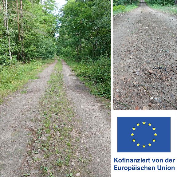 Gerader, unbefestigter Waldweg, von dichtem Grün gesäumt, führt tief in den Wald. Rechts eine Nahaufnahme des groben, steinigen Wegbelags mit Spurrillen.