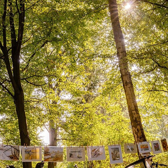 Sonnenlicht fällt durch dichtes Blätterdach im Wald. Am unteren Bildrand hängt eine Leine mit mehreren Fotos oder Gemälden von Landschaften, wie bei einer kleinen Outdoor-Ausstellung.