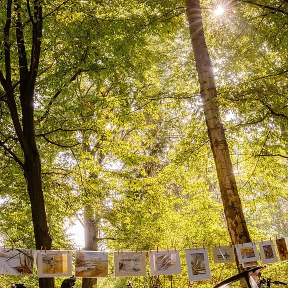 Sonnenlicht fällt durch dichtes Blätterdach im Wald. Am unteren Bildrand hängt eine Leine mit mehreren Fotos oder Gemälden von Landschaften, wie bei einer kleinen Outdoor-Ausstellung.