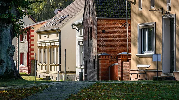 Ein gemütlicher Straßenzug mit mehreren Häusern unterschiedlichen Stils, darunter ein klassisches Gebäude mit Säulen und ein modernes, hellgelbes Haus. Im Vordergrund ist ein gepflegter Weg zu sehen, umgeben von Bäumen und herbstlichem Laub.