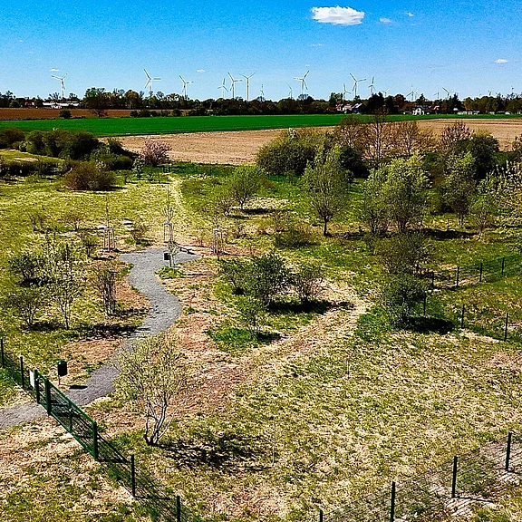 Ländliche Landschaft mit Wiesen und jungen Bäumen. Ein geschwungener Kiesweg führt durch das Gelände, im Vordergrund ein Zaun. Dahinter liegen Felder; am Horizont stehen zahlreiche Windräder unter blauem Himmel mit wenigen Wolken.
