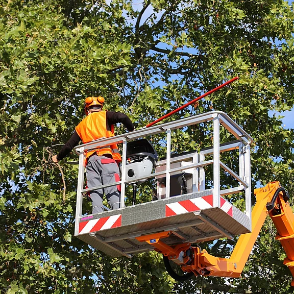 Ein Arbeiter mit Helm und Warnweste steht in einer Hubarbeitsbühne und schneidet mit einer langen Säge Äste eines Laubbaums. Fokus auf Baumpflege und Arbeitssicherheit.