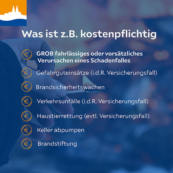 Alternativtext: Eine Liste mit Beispielen für kostenpflichtige Dienstleistungen, darunter grob fahrlässiges Verursachen eines Schadens, Gefahrenhinweise, Brandsicherheitswachen, Verkehrsunfälle, Haustierrettung, Keller abpumpen und Brandstiftung. Im Hintergrund ist eine unscharfe Feuerstelle zu erkennen.