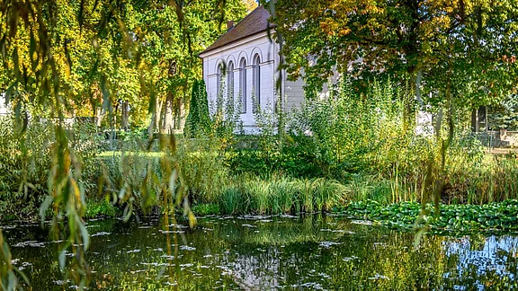 Ein ruhiger Teich spiegelt die umgebenden Bäume und ein helles Gebäude wider. Die Szenerie wird von leuchtenden Herbstfarben geprägt. Am Ufer wachsen Wasserpflanzen und Gräser, die eine friedliche, naturnahe Atmosphäre schaffen.