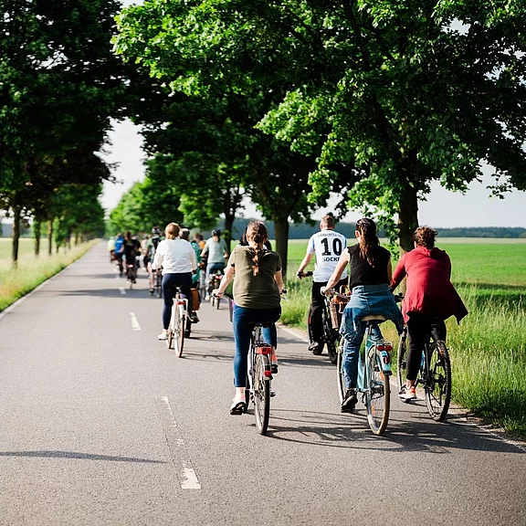 Eine größere Gruppe radelt entspannt auf einer baumbestandenen Landstraße durch flache Felder. Freizeitfahrt, gemischtes Alter, sonniges Wetter, ruhiger Verkehr. Fokus auf gemeinsamer Radausflug in ländlicher Umgebung.