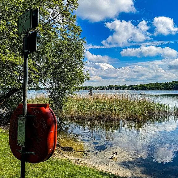 Ruhiges Seeufer mit Schilf und klarem Wasser unter blauem Himmel mit Wolken. Links ein orangefarbener Rettungsring an einer Stange. Eine Ente schwimmt am flachen Rand. Sommerliche, friedliche Stimmung.