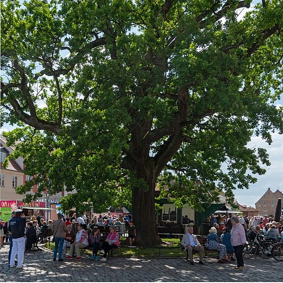 Großer, ausladender Baum in der Mitte eines Platzes; viele Menschen sitzen und stehen darunter auf Bänken im Schatten, unterhalten sich und ruhen. Pflastersteine, Gebäude im Hintergrund; sommerliche Stimmung, Gemeinschaftstreffpunkt.