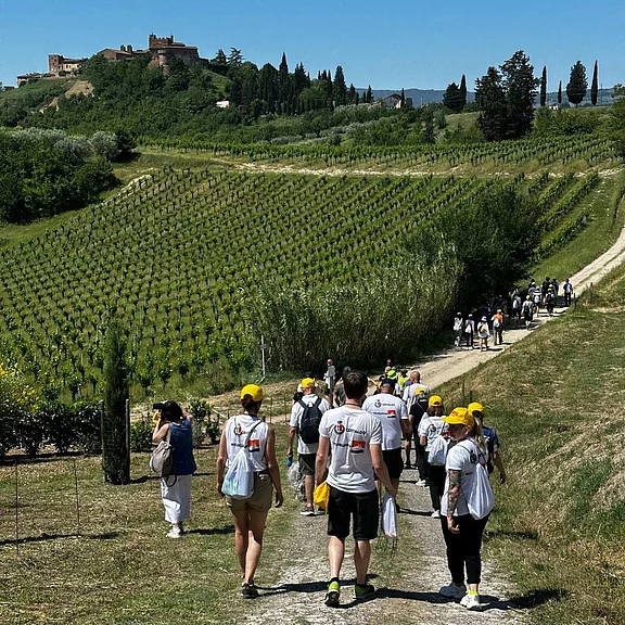 Gruppe von Wanderern mit gelben Kappen geht auf einem Schotterweg durch Weinberge in hügeliger Landschaft. Sonniger Tag, Zypressen säumen den Weg; im Hintergrund ein Ort auf einem Hügel.