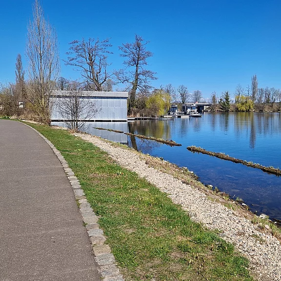 Uferweg an einem ruhigen Fluss: Links ein asphaltierter Spazierweg, daneben Gras und ein Kiesstreifen. Rechts spiegelglattes Wasser mit treibenden Holzsperren. Im Hintergrund ein helles Bootshaus und kahle Bäume unter wolkenlosem, blauem Himmel.