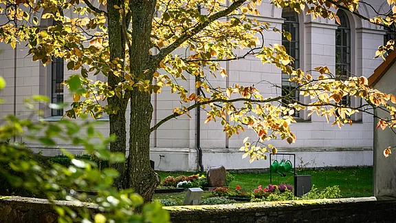 Ein Baum mit orangefarbenen und grünen Blättern steht im Vordergrund, während die Rückwand eines Gebäudes mit großen Fenstern im Hintergrund sichtbar ist. Im Garten sind bunte Blumen und ein Stein zu sehen.