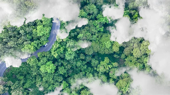 Luftbild eines grünen Waldes mit üppigem Baumdach und sanften, nebeligen Wolken. Eine kurvige Straße verläuft durch die Waldlandschaft, sichtbar auf der linken Bildseite. Die Farben sind lebendig und frisch, was eine ruhige, natürliche Umgebung vermittelt.