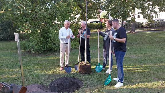 Vier Erwachsene stehen in einem Park und pflanzen gemeinsam einen jungen Baum. Sie halten Spaten; vor ihnen sind ein ausgehobenes Loch und der Wurzelballen. Es wirkt wie eine gemeinschaftliche Pflanzaktion.