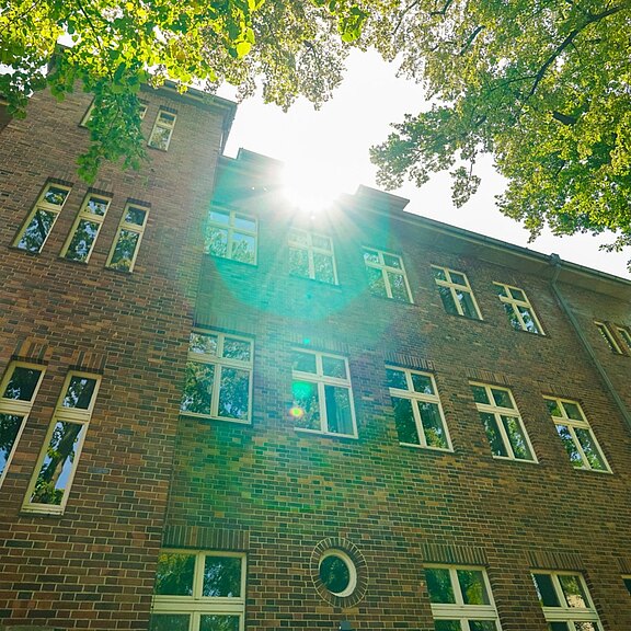 Backsteinfassade eines mehrstöckigen Wohnhauses, von unten fotografiert. Weiß gerahmte Fenster; oben bricht die Sonne durch grüne Baumkronen und erzeugt Lichtstrahlen und Lensflare. Heller, sommerlicher Eindruck.
