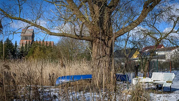 Eine große, alte Baum steht in einem offenen Feld mit hohem Gras. In der Nähe liegen ein blauer Kahn und einige Gartenmöbel. Im Hintergrund sieht man eine Kirche mit einem schrägen Dach und einige Häuser. Der Himmel ist klar und blau.