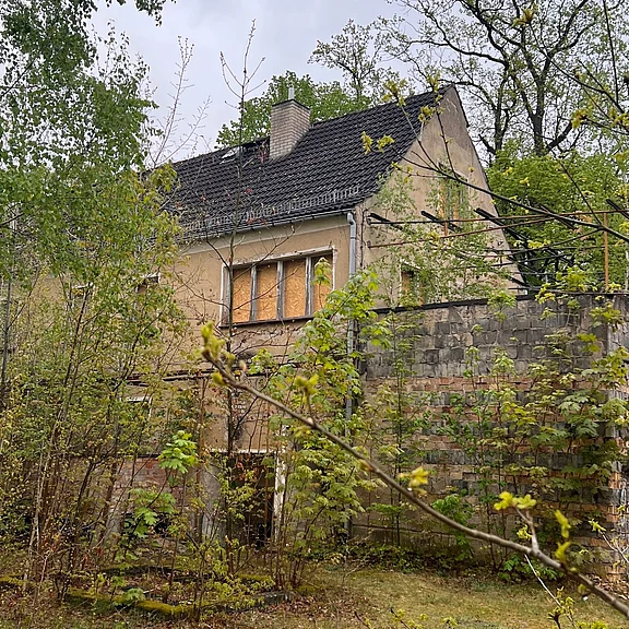 Verlassenes, verwittertes Einfamilienhaus hinter einer Steinmauer. Fenster im Obergeschoss mit Holzplatten vernagelt, Eingang unten dunkel. Dach mit Ziegeln und Schornstein. Vorgarten stark überwuchert mit Sträuchern und jungen Bäumen; graue Nässe verstärkt den Eindruck von Verfall und Vernachlässigung.