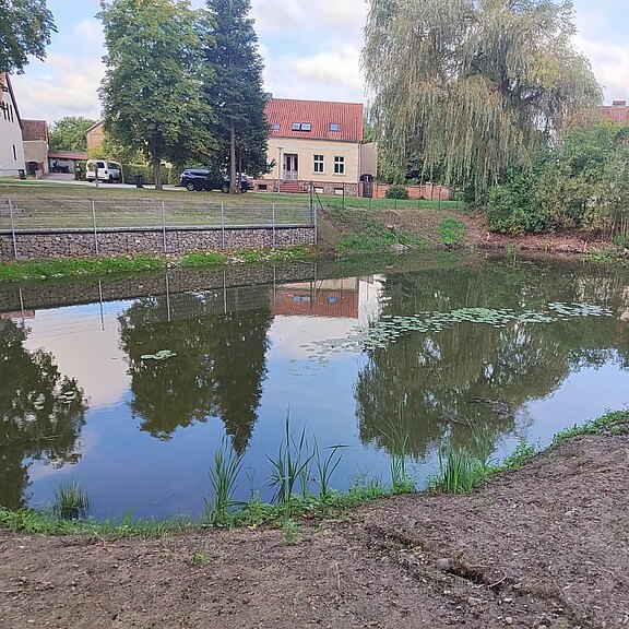 Ruhiger Dorfteich mit spiegelglatter Wasseroberfläche, in der Bäume und ein rotes Wohnhaus reflektieren. Grüne Uferzone mit Gras und Seerosen, im Hintergrund ein Weidenbaum und weitere Häuser. Ländliche, friedliche Szenerie.