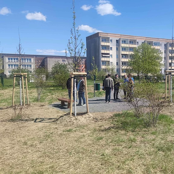 Mehrere Personen stehen auf einem Weg in einer neu angelegten Grünfläche mit frisch gepflanzten, abgestützten Bäumen. Eine Bank am Rand, dahinter Wohngebäude. Sonniger Tag mit blauem Himmel.