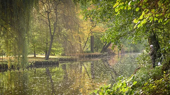Ein Angler steht am Ufer eines ruhigen Gewässers, umgeben von Bäumen in herbstlichen Farben. Das Wasser spiegelt die Umgebung wider, während einige Blätter auf der Oberfläche treiben. Die Szene vermittelt eine friedliche, natürliche Atmosphäre.
